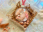 Holiday Ornament