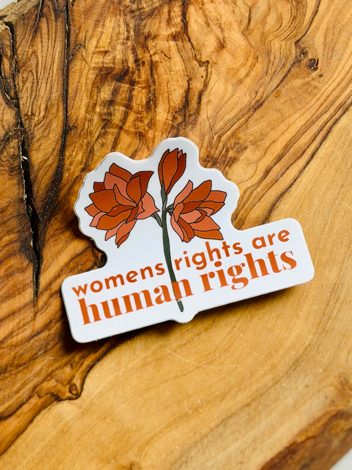 Womens rights are human rights — Vinyl Sticker