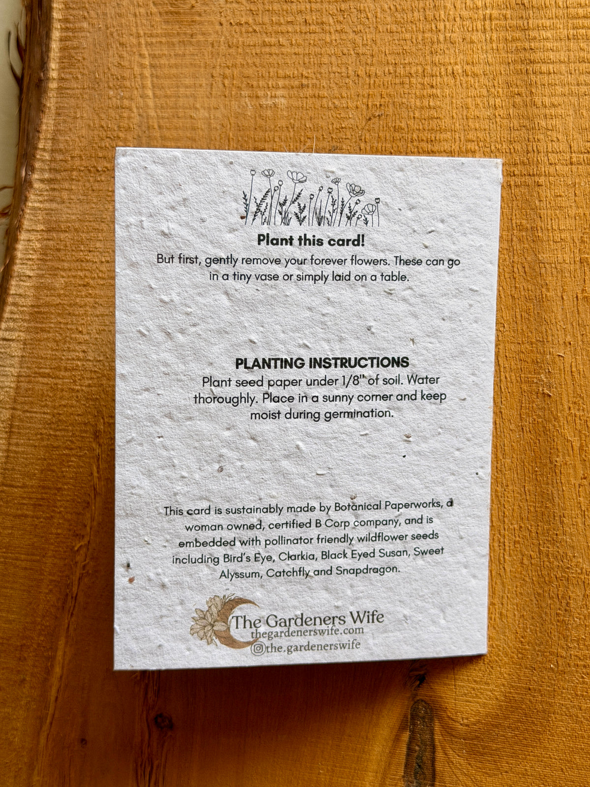 Seasons Greetings | Wildflower Seed Card + Bouquet