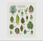 Planty Prints by Little Low