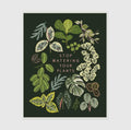 Planty Prints by Little Low
