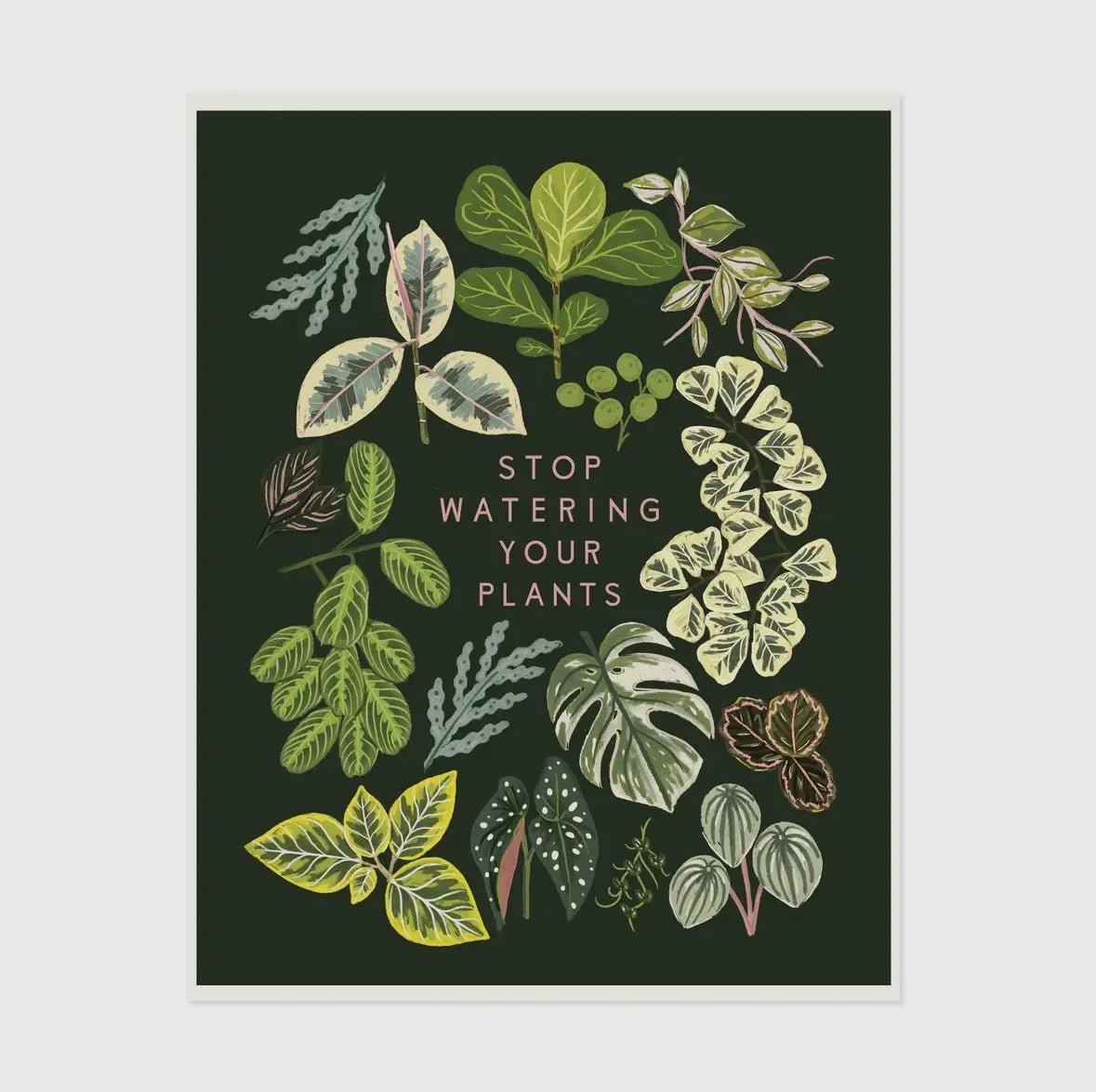 Planty Prints by Little Low