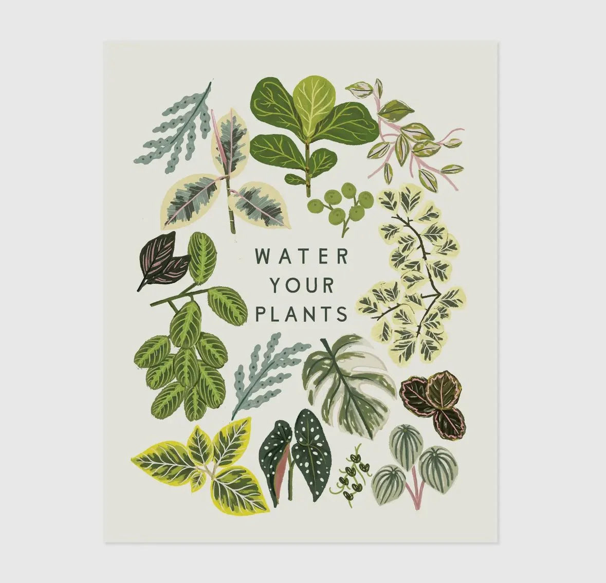 Planty Prints by Little Low