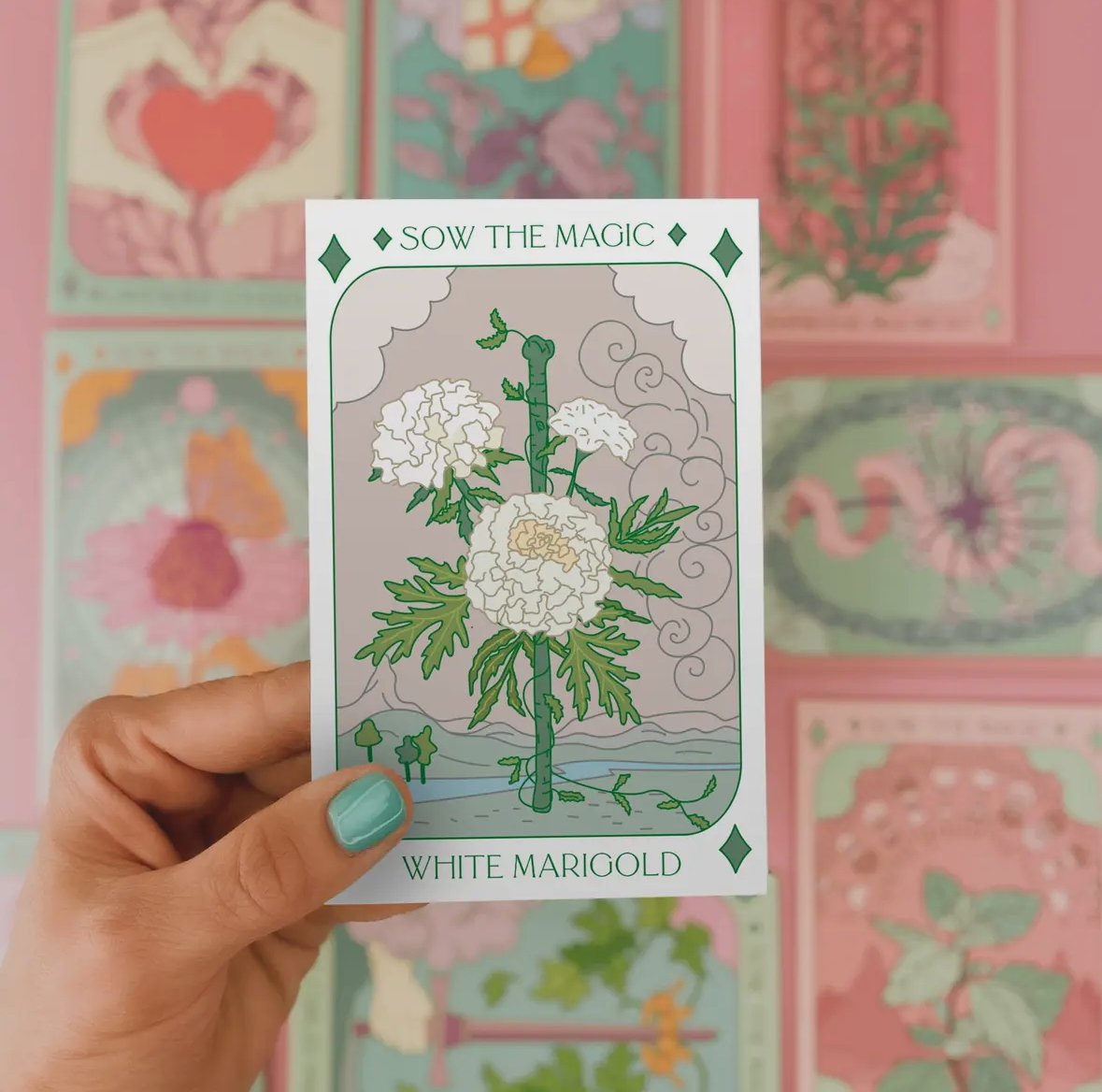 White Marigold | Ace of Wands