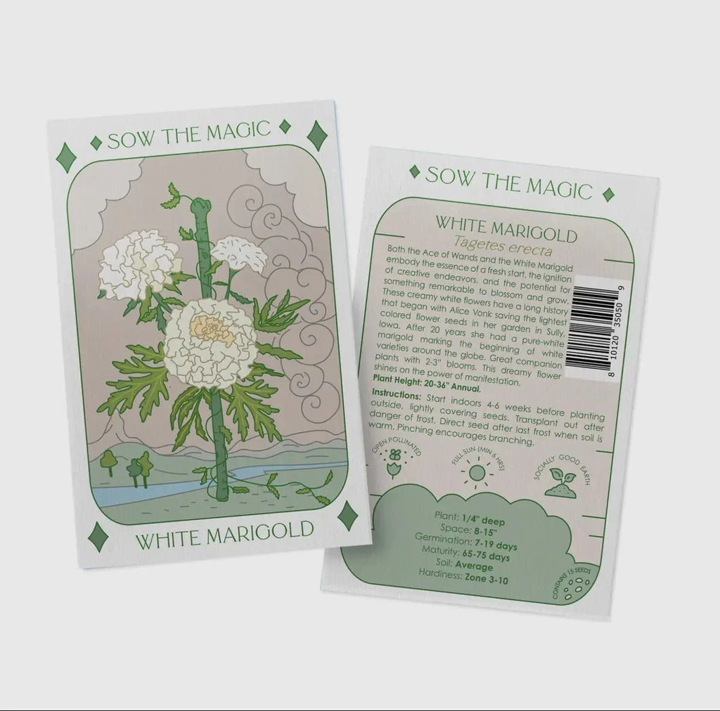 White Marigold | Ace of Wands