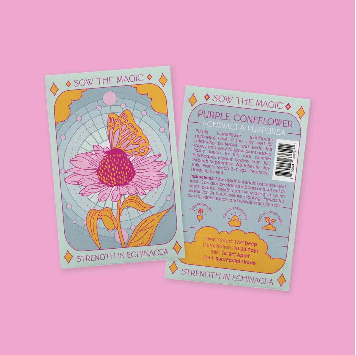 Strength in Echinacea | Strength