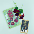Black Velvet Nasturtium | Five of Pentacles