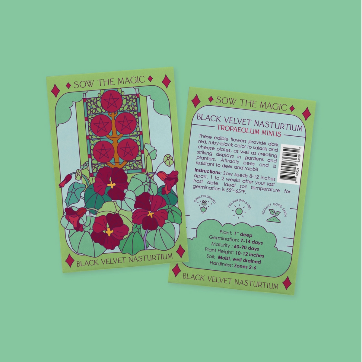 Black Velvet Nasturtium | Five of Pentacles