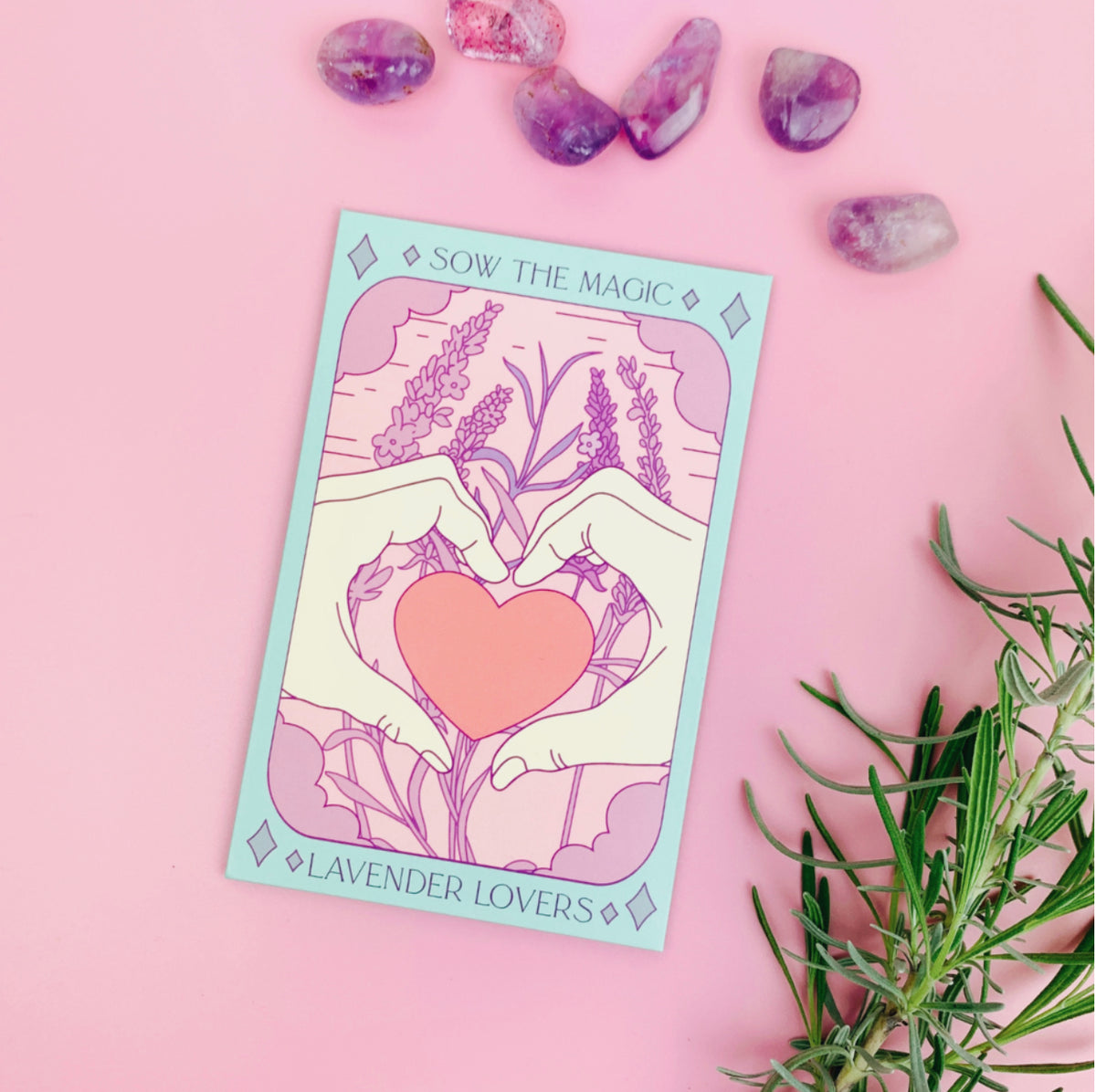 Lavender Hyssop | The Lovers