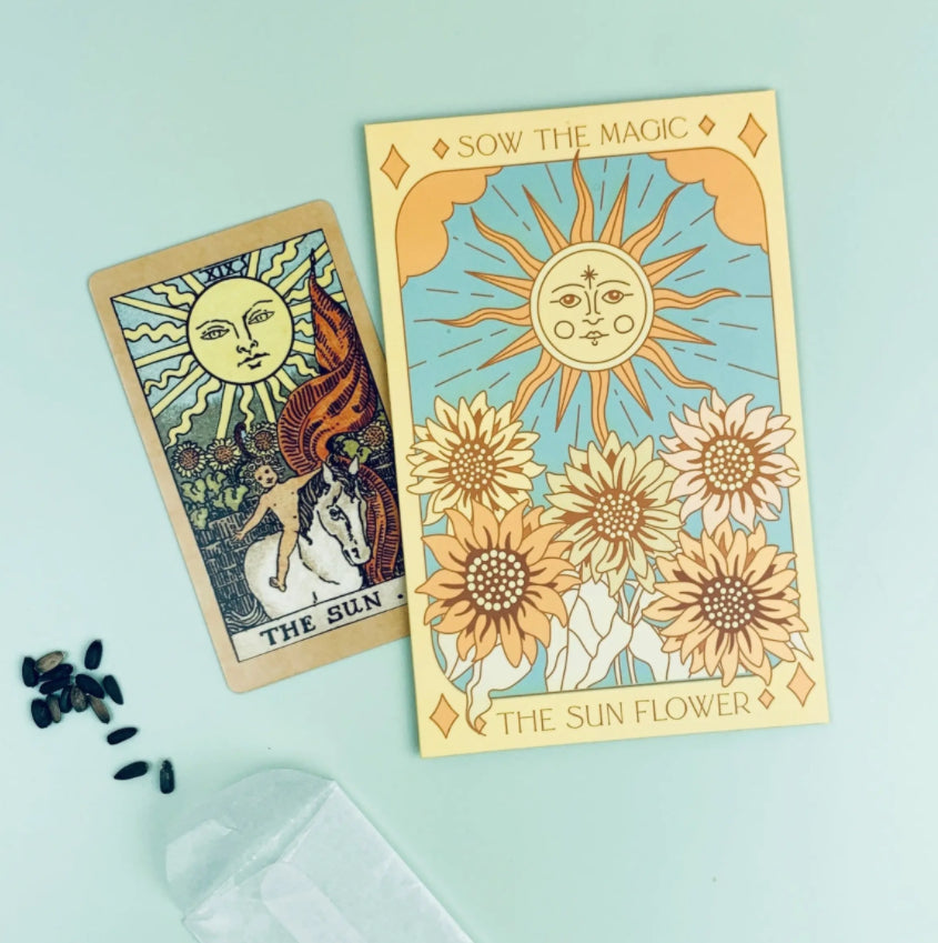 The Sunflower | The Sun