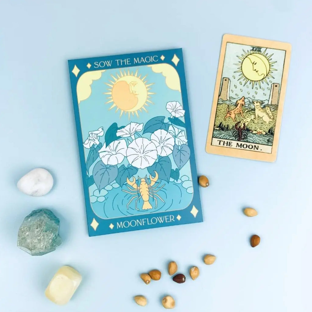 Moon Flower | The Moon