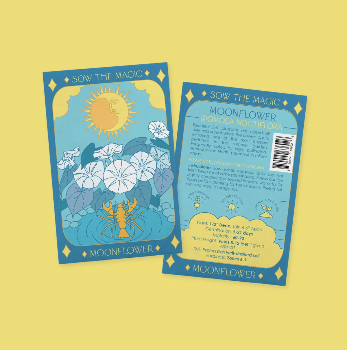 Moon Flower | The Moon
