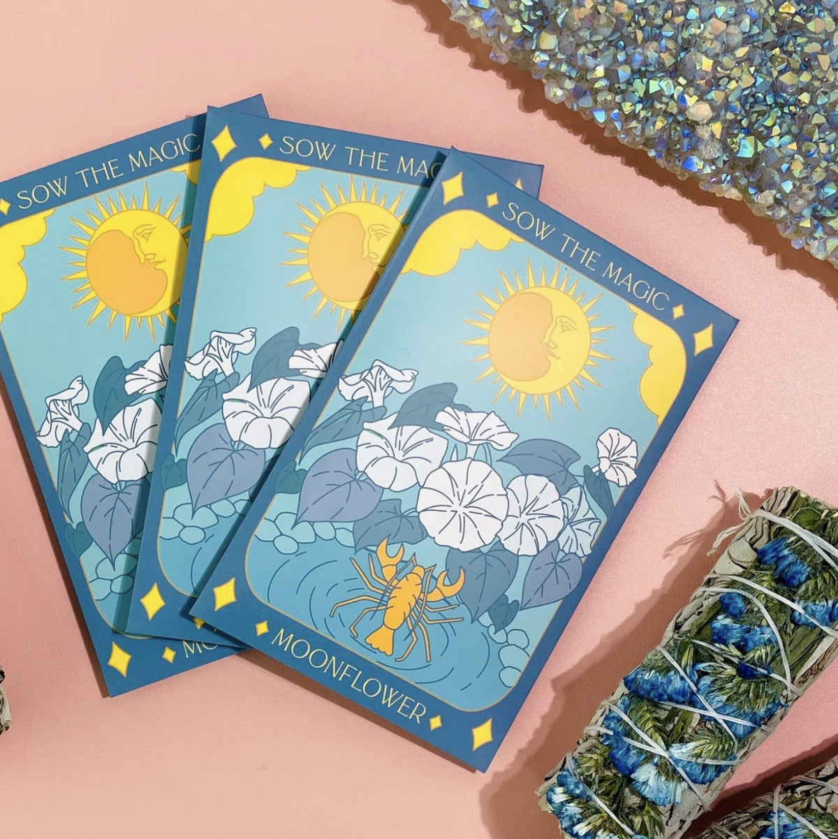 Moon Flower | The Moon