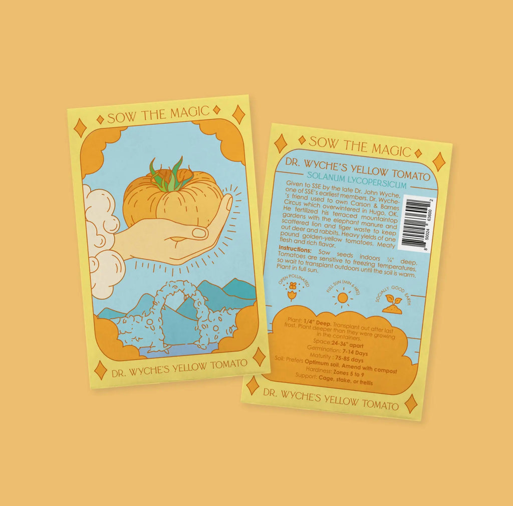 Dr. Wyches Yellow Tomato | Ace of Pentacles