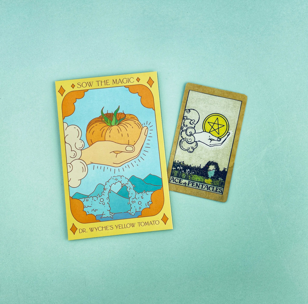 Dr. Wyches Yellow Tomato | Ace of Pentacles