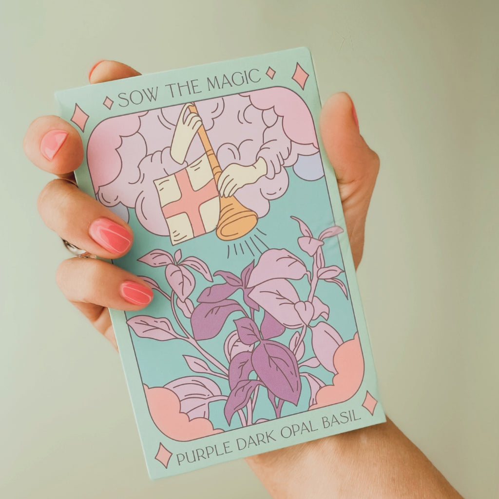 Purple Dark Opal Basil | The Judgement Card