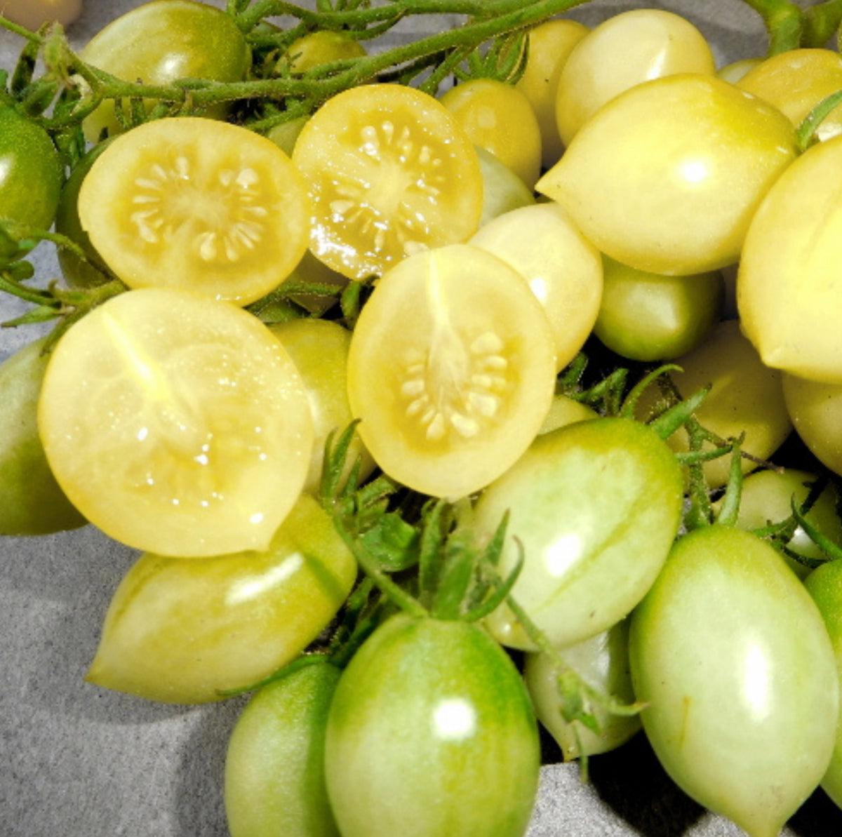 Crazy Cherry Tomato | Six of Pentacles