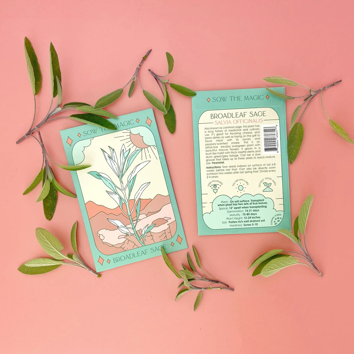 Broadleaf Sage | Ace of Swords
