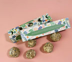 Moon Phase Culinary Planting Seed Balls