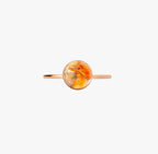 Grounding & Protection: Oyster Turquoise Ring