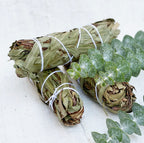 CALM + RELIEF | Eucalyptus + Amethyst