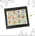 Zodiac Flower Seed Ball Set