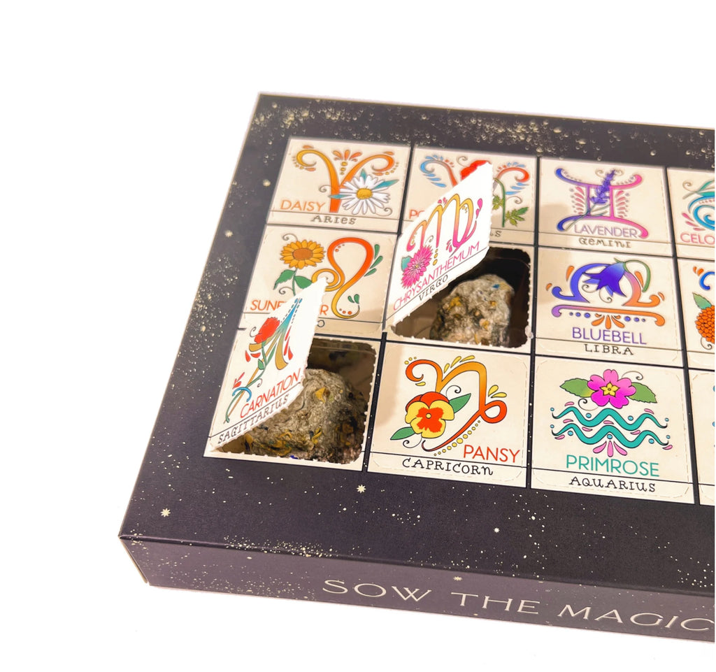 Zodiac Flower Seed Ball Set