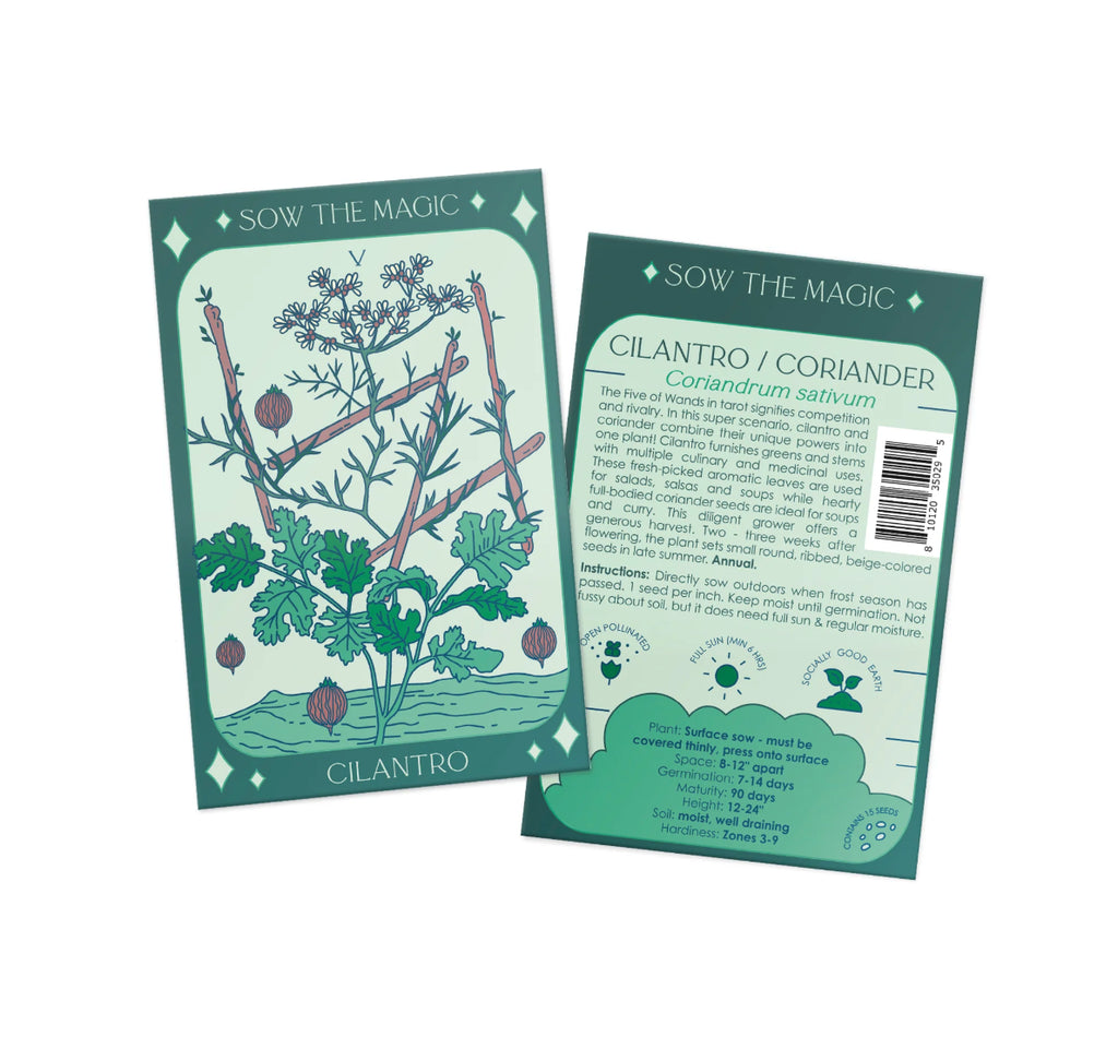 Cilantro Coriander | Five of Wands