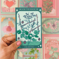Cilantro Coriander | Five of Wands