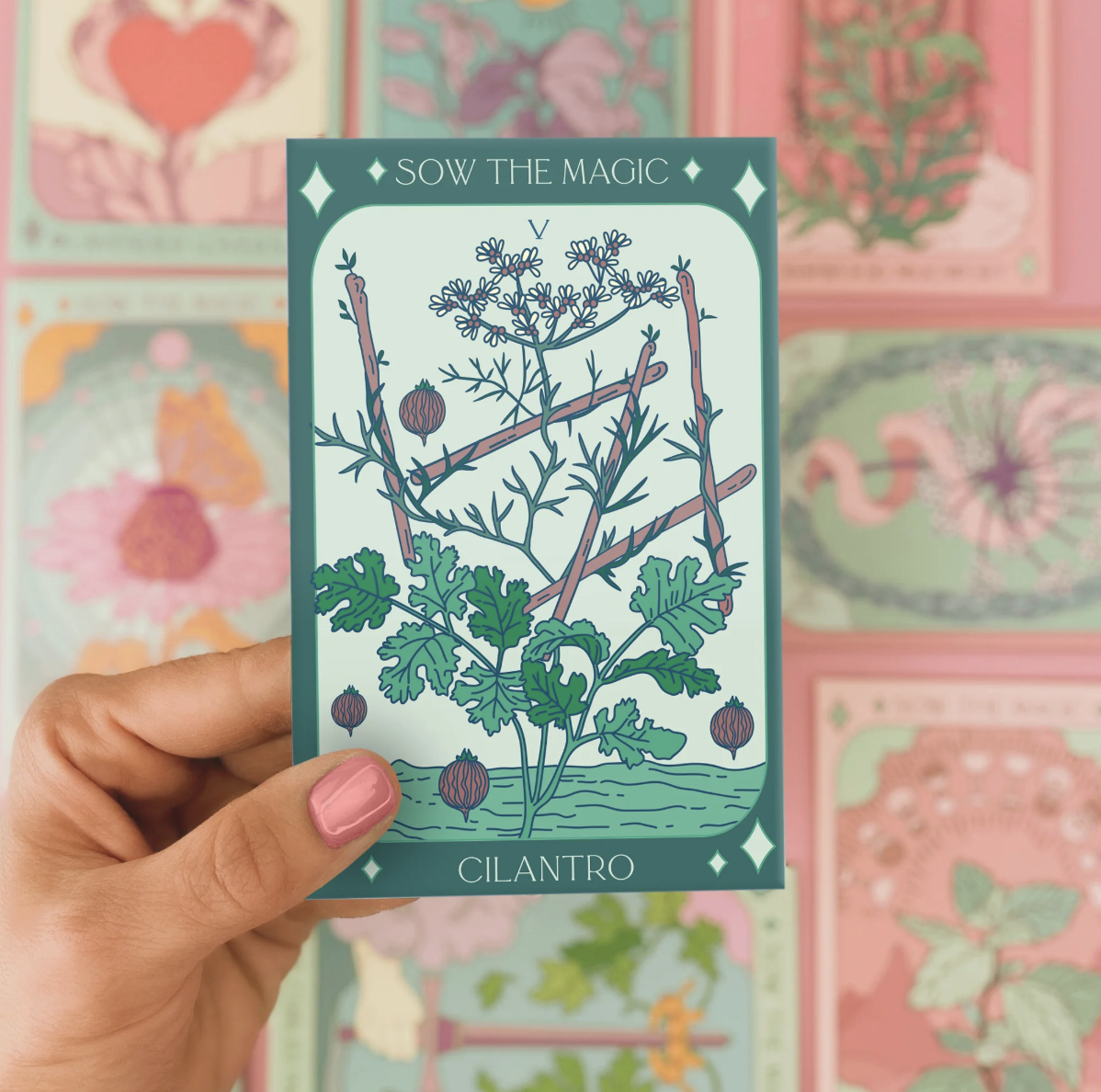 Cilantro Coriander | Five of Wands