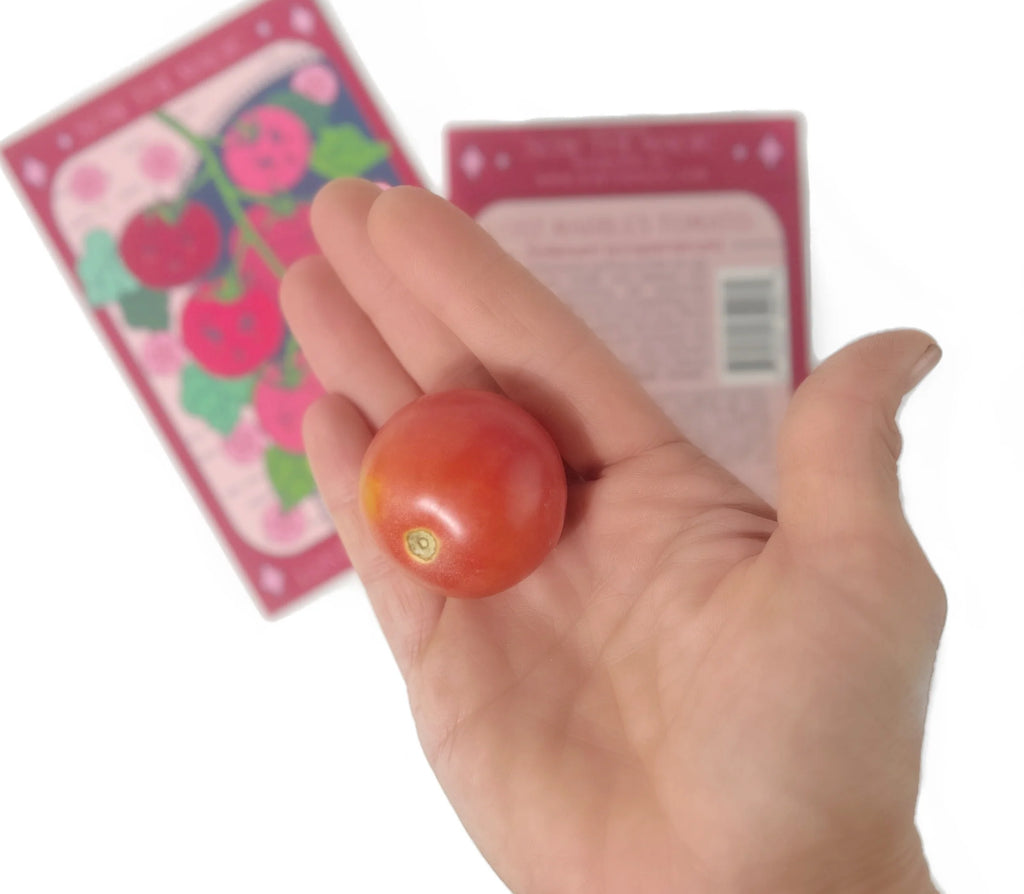Lost Marbles Tomato | Ten of Pentacles