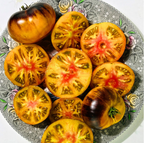 Lucid Gem Tomato | Five of Cups