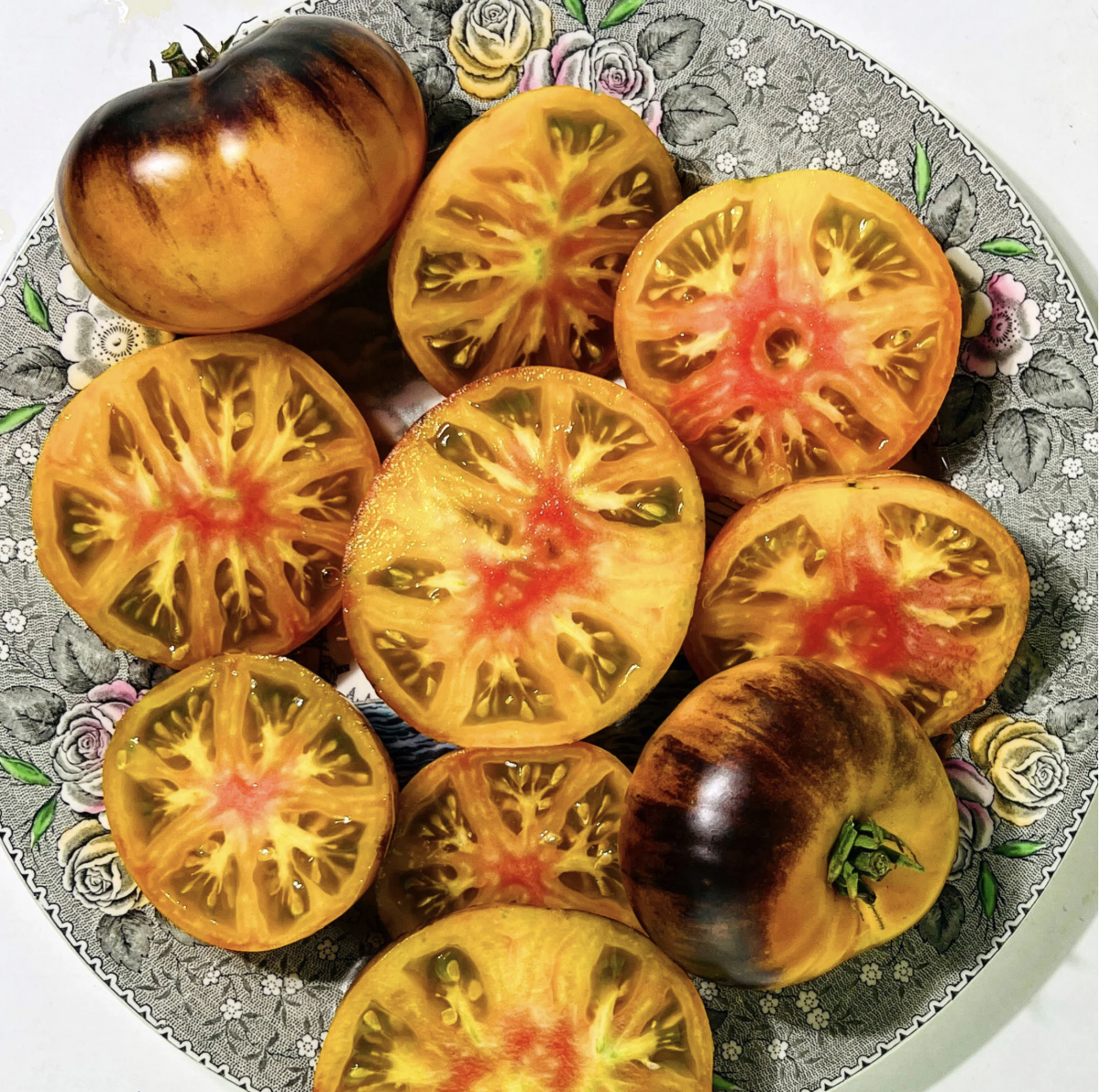 Lucid Gem Tomato | Five of Cups