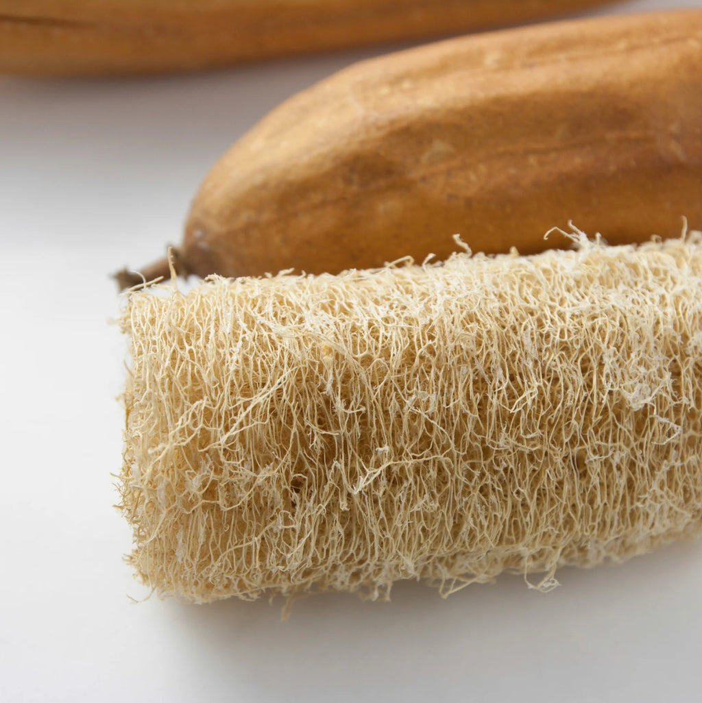 Luffa Gourd | Ten of Swords