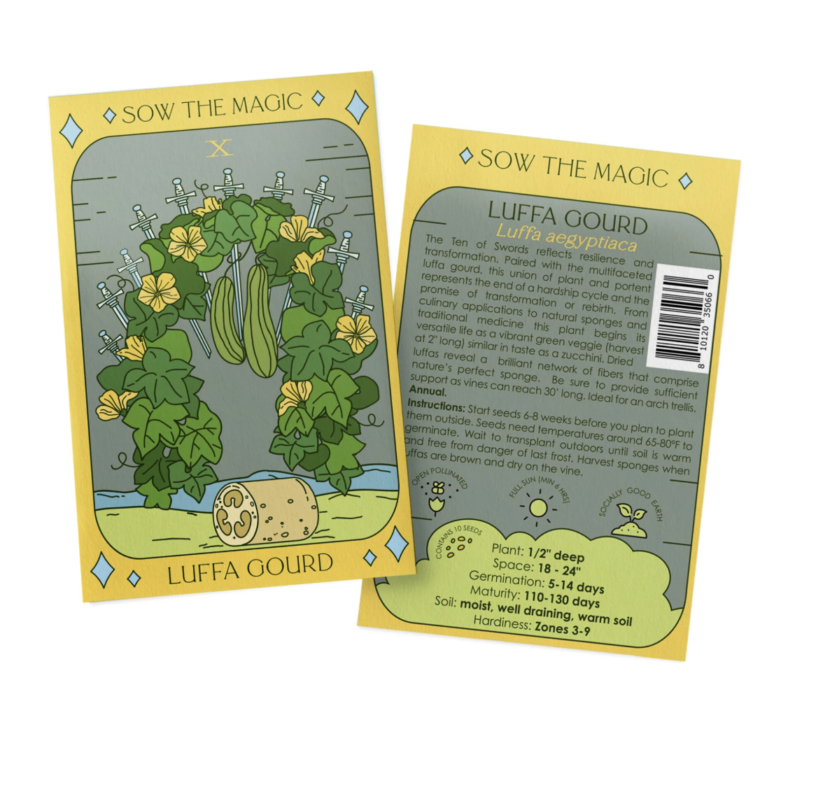 Luffa Gourd | Ten of Swords