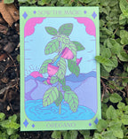 Oregano | Temperance