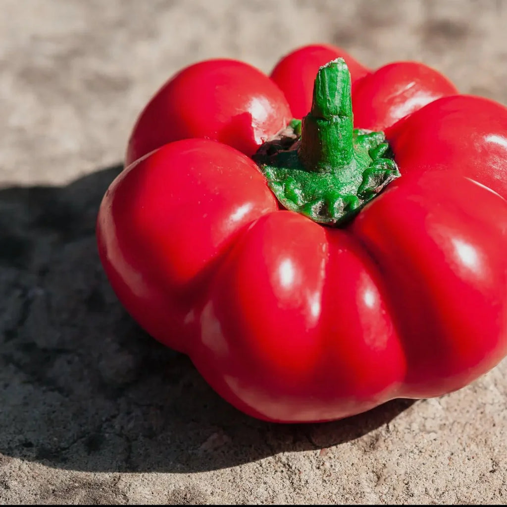 Ashe County Pimento | The Justice