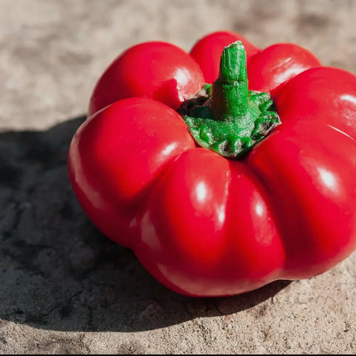 Ashe County Pimento | The Justice